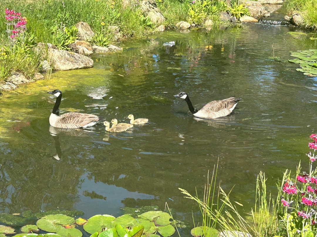 RHS Garden Bridgewater-Worsley必去景点