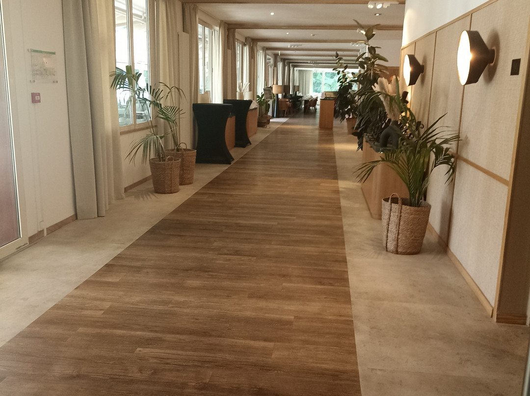 Best Western Plus L'Orée Paris Sud主图