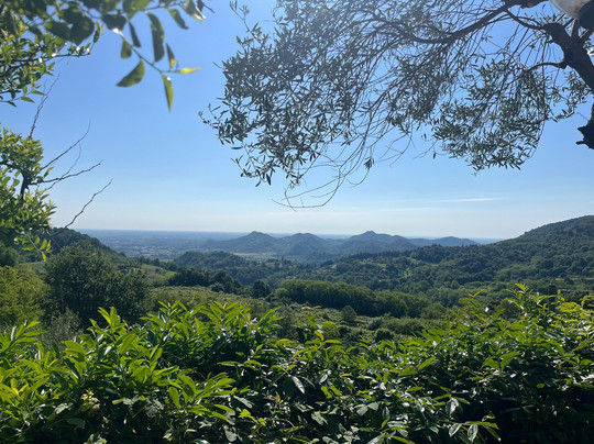 Agriturismo Ca' Noale主图