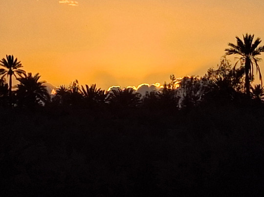 Restaurant Gîte Ksbah La Palmeraie主图