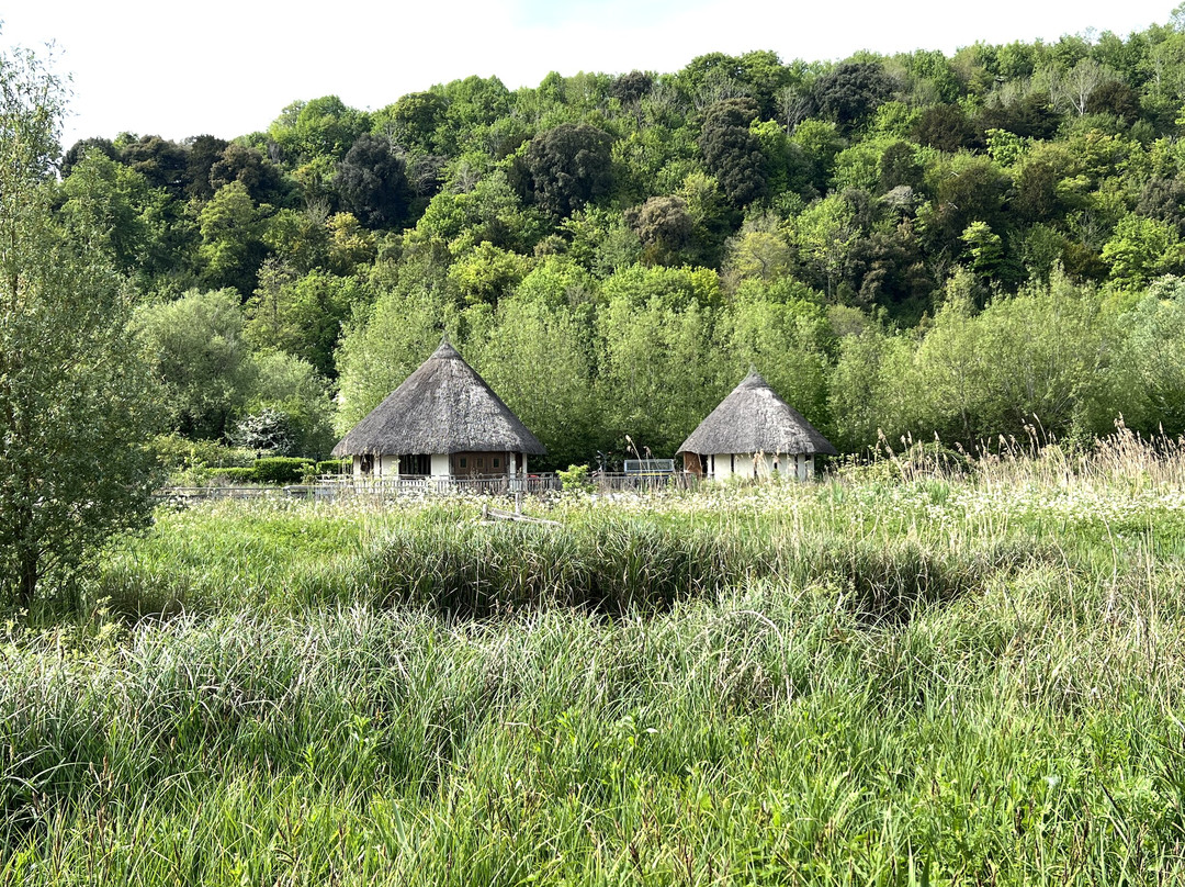 WWT Arundel Wetland Centre景点图片