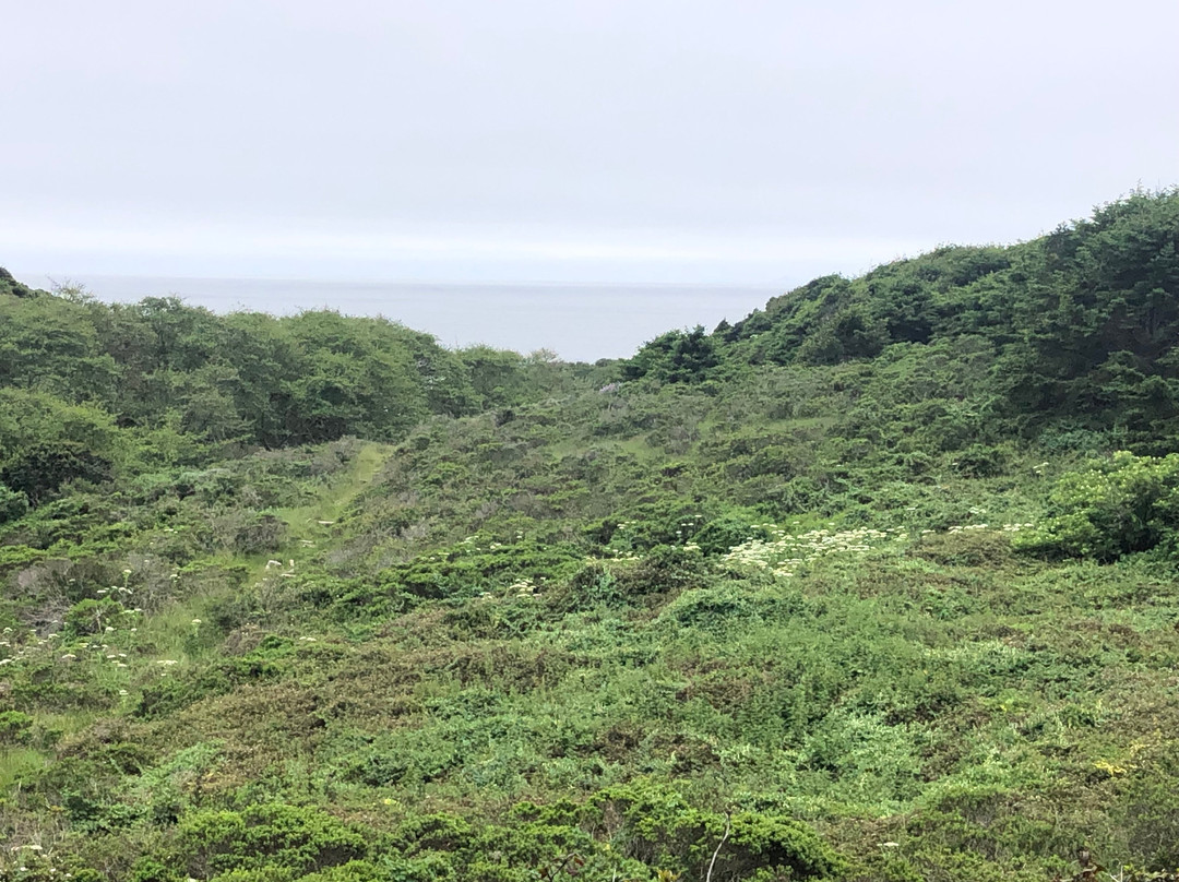 Point Reyes National Seashore-Point Reyes Station必去景点