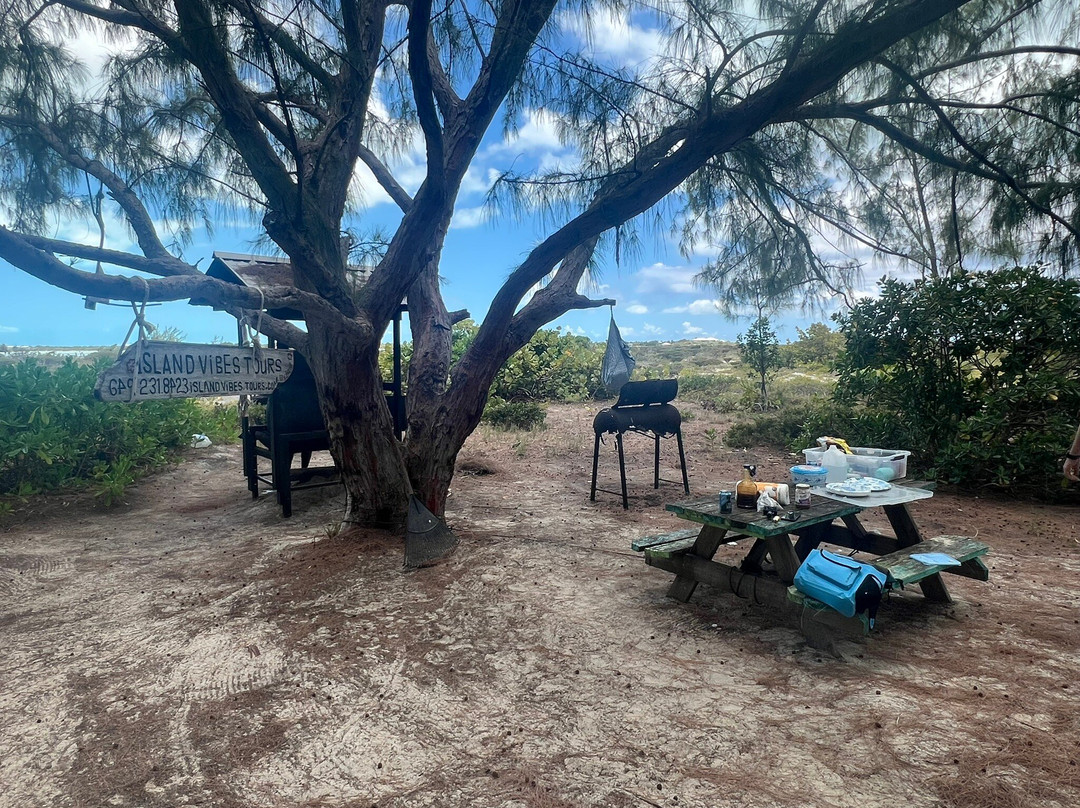 Island Adventure TCI-普罗维登西亚莱斯必去景点