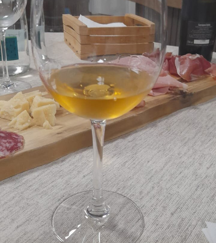 Agriturismo San Paolo-Castelfranco Emilia必去景点