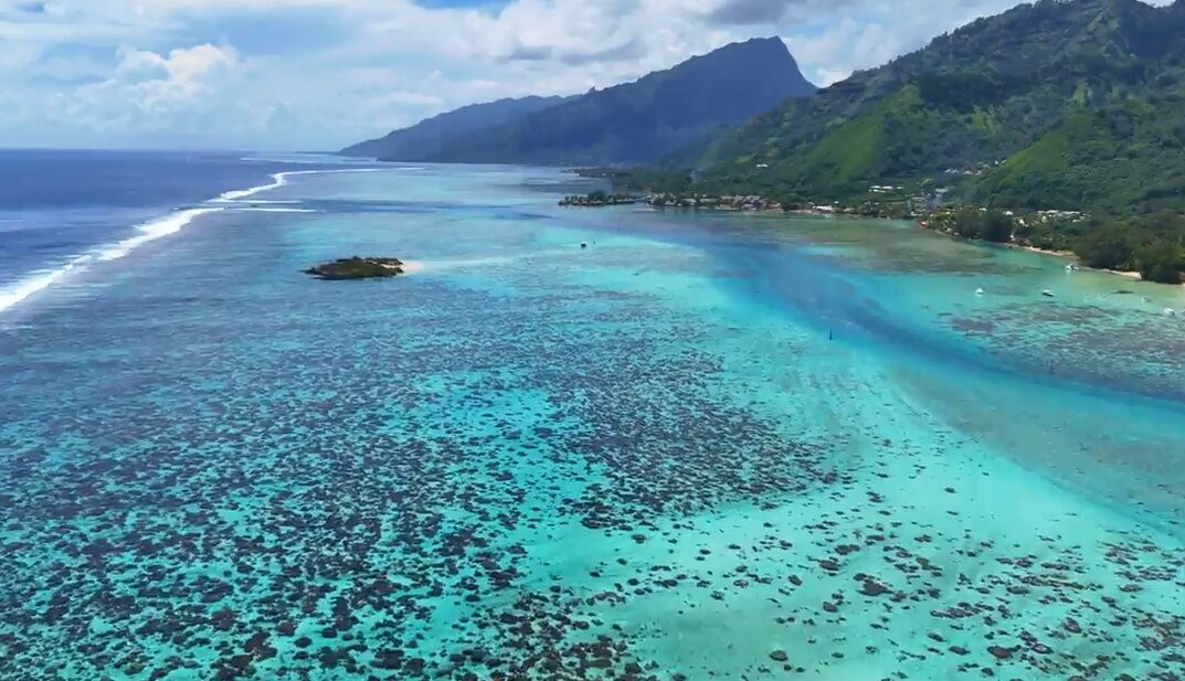 Moorea Ocean Adventures-莫雷阿岛必去景点