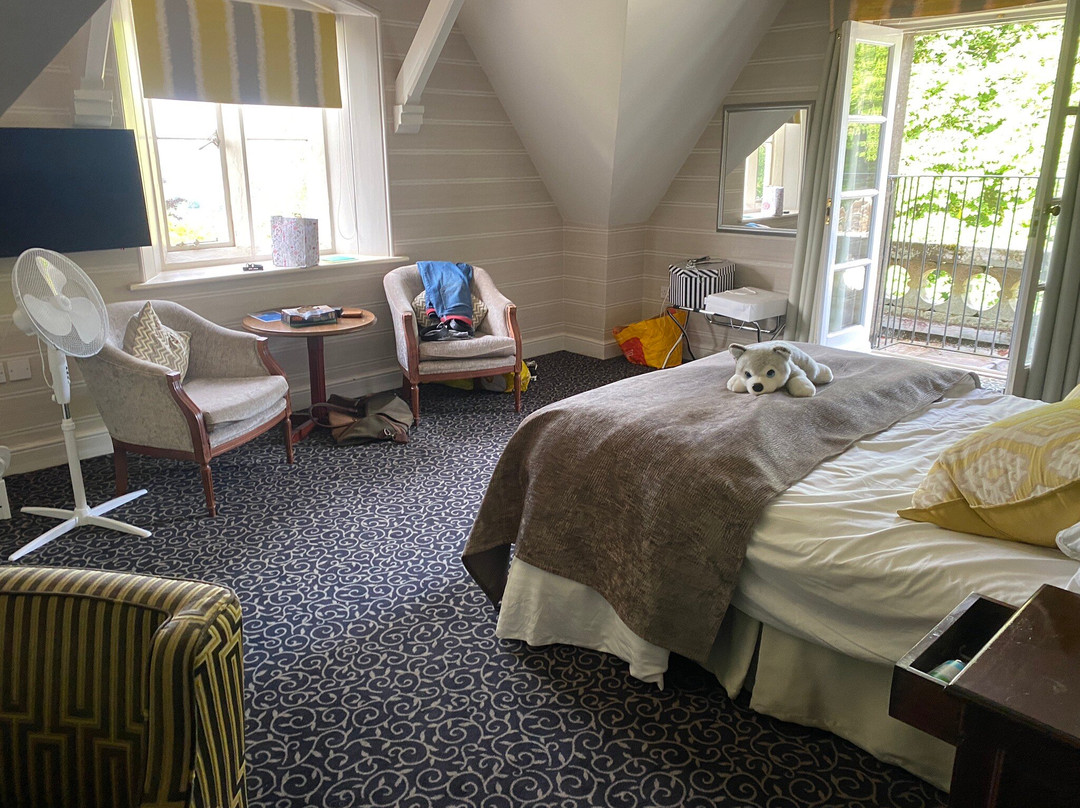 Coed-Y-Mwstwr Hotel主图
