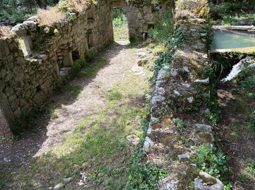 Adventure Park Peć Mlini景点图片