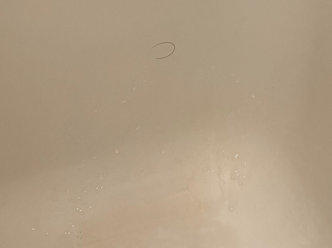 弗雷德里克斯堡霍姆伍德套房酒店主图