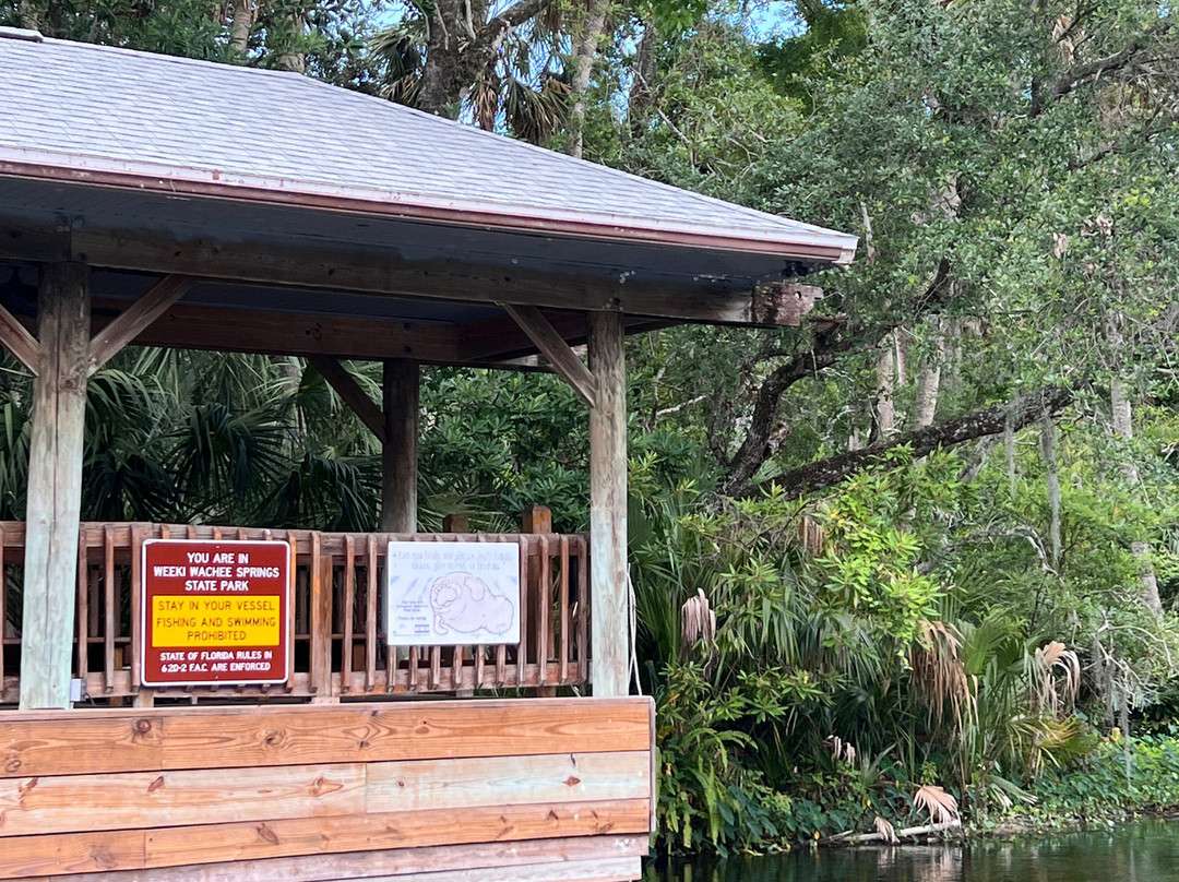 Weeki Wachee Springs State Park景点图片