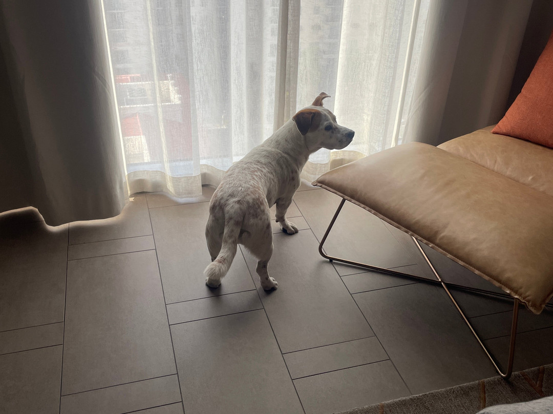 Canopy By Hilton West Palm Beach - Downtown主图