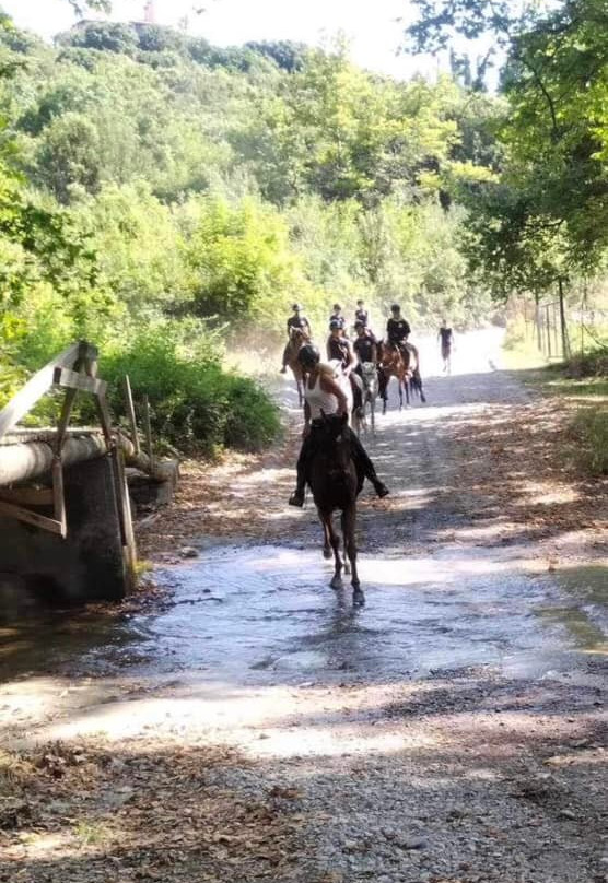 Olympus Horse Riding Club-Litochoro必去景点