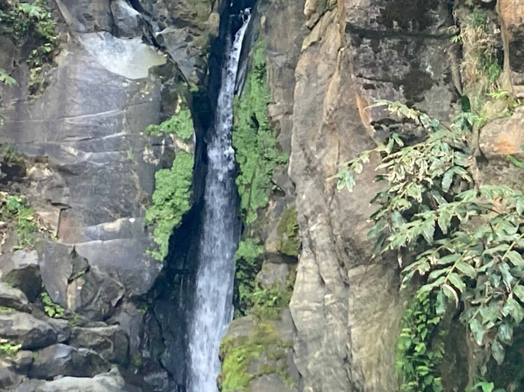 Into The Wild Azores Tours-蓬塔德尔加达必去景点