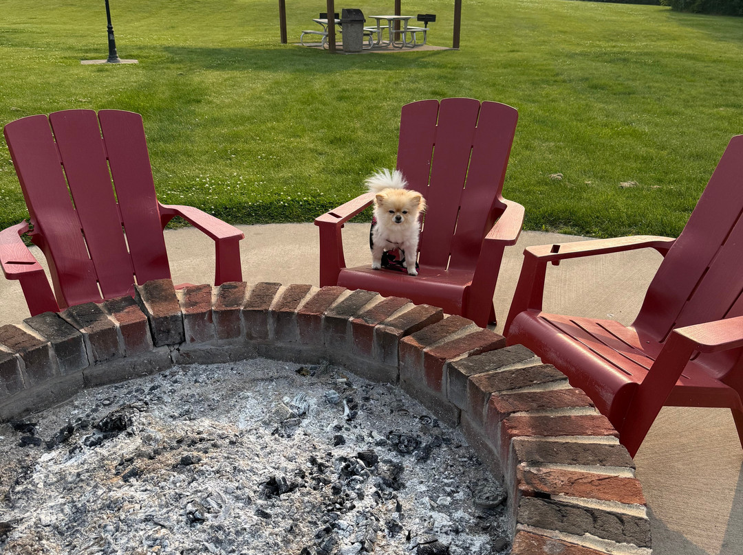 Grant Hills Motel主图