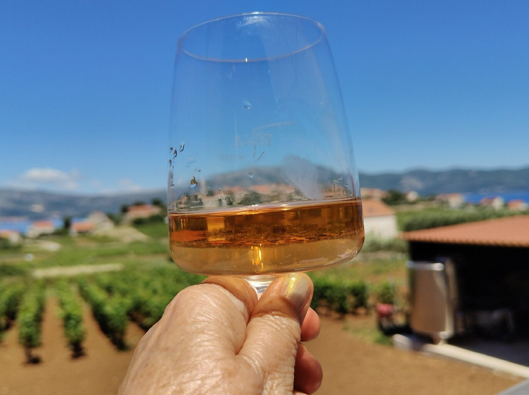 Popic Winery Lumbarda景点图片