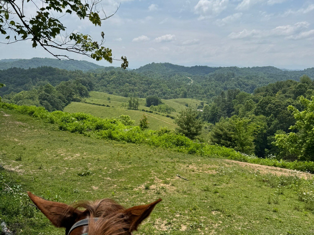 Smoky Mountain Trail Rides and Bison Farm景点图片