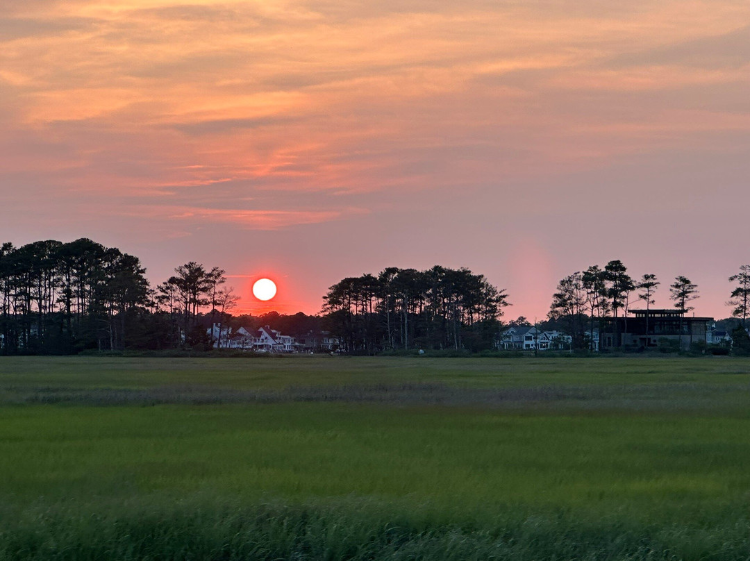 Sand Dollar Cruises-Dewey Beach必去景点