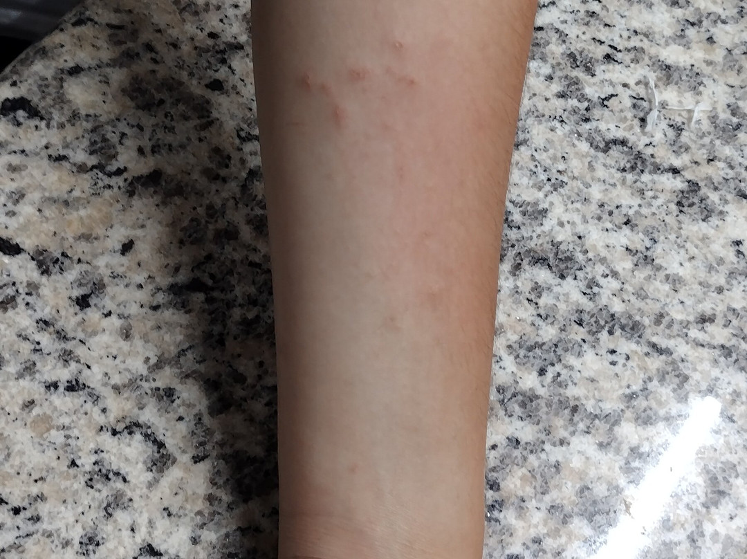 Best Western Executive Inn主图