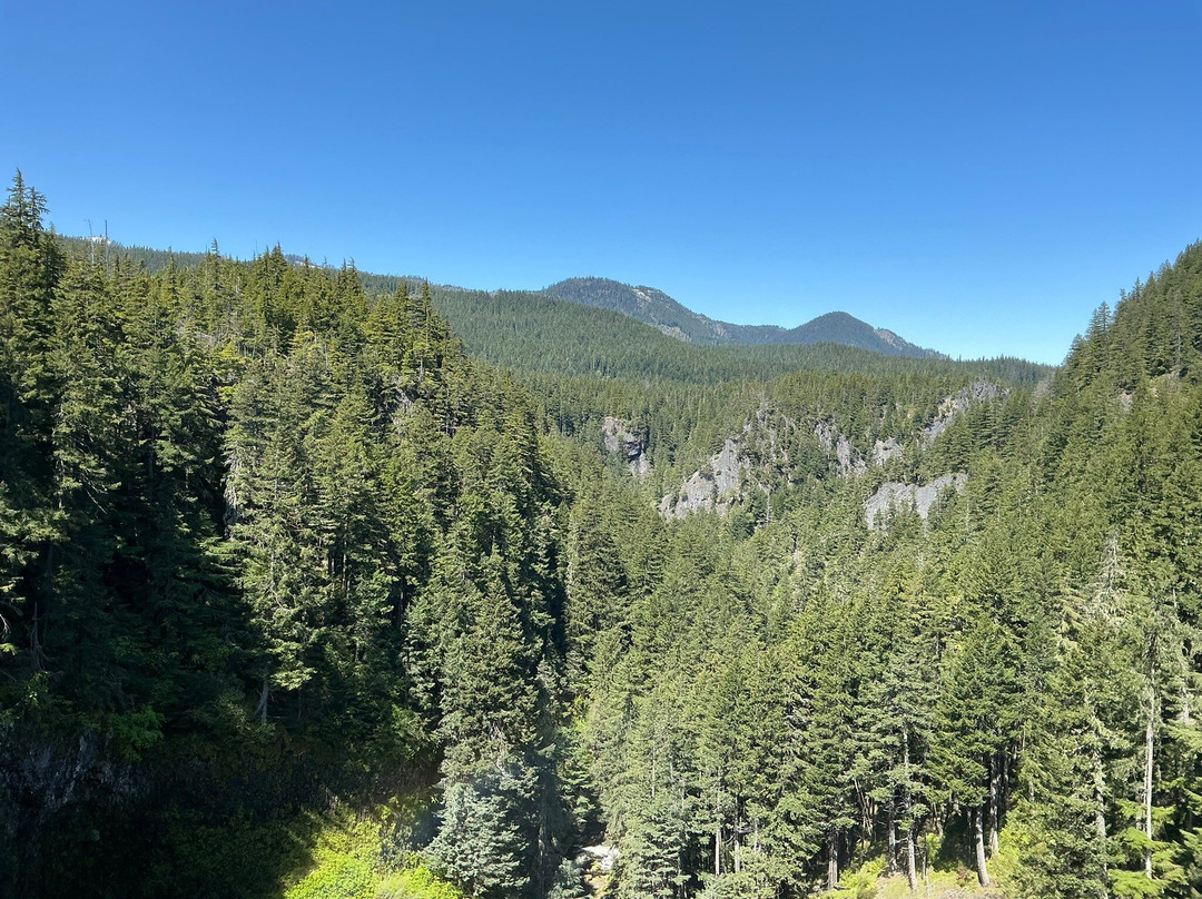 Salt Creek Falls-Oakridge必去景点
