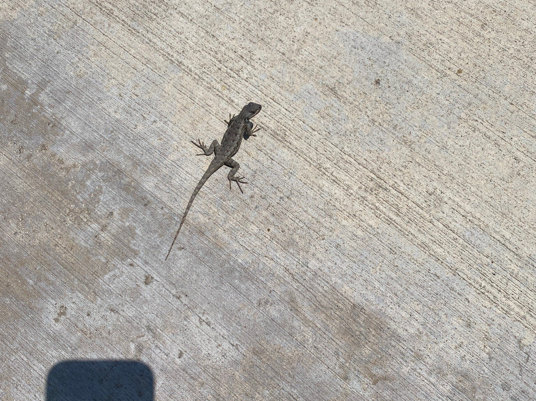 Oso Creek Trail-米逊维耶荷必去景点