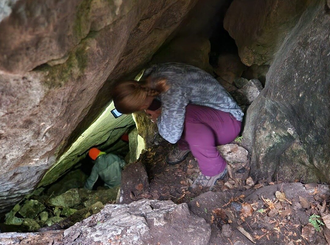 Step it Up Adventures-科林伍德必去景点