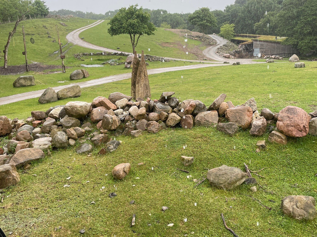 Ree Park Safari景点图片
