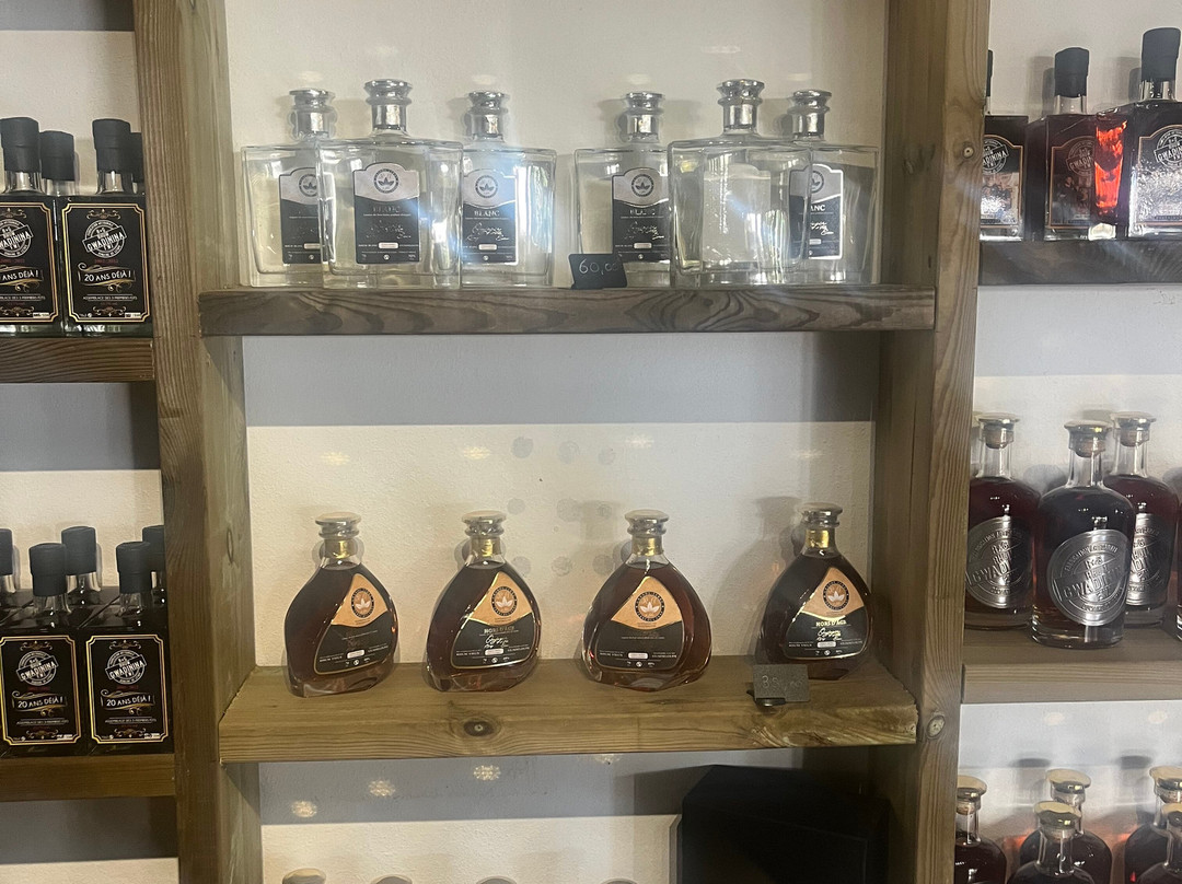 Rhum Gwadinina Distillery-Le Moule必去景点