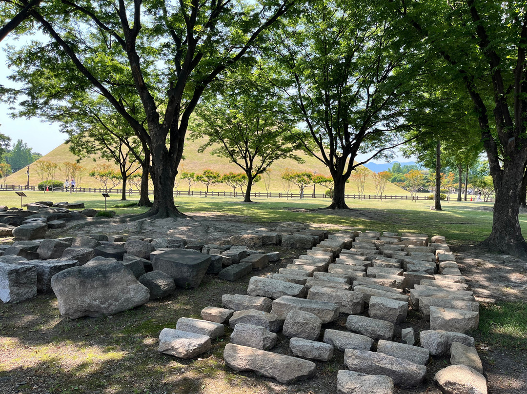 Daereungwon Tomb Complex-庆州市必去景点