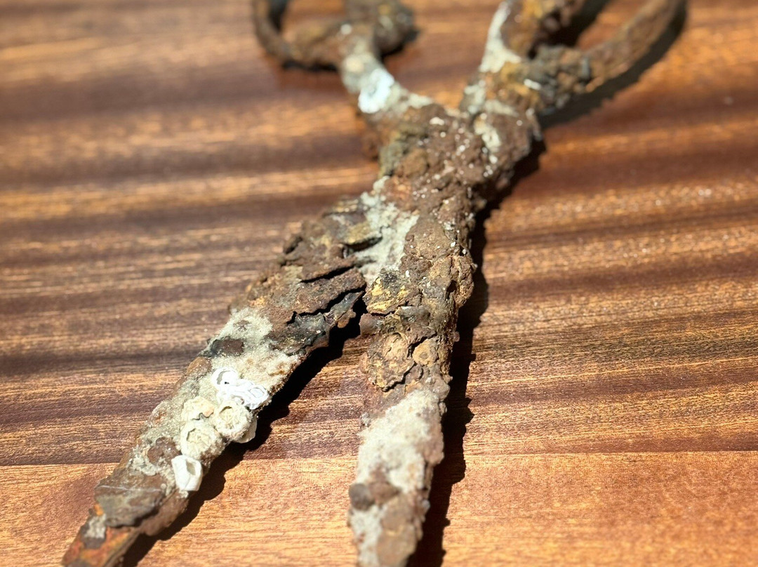 Lowe Art Museum-科勒尔盖布尔斯必去景点