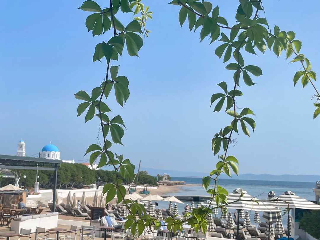 Oasis Scala Beach Hotel主图