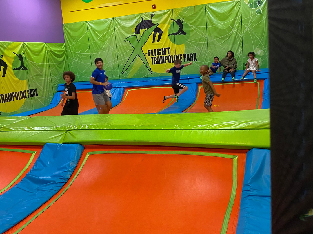 Party Safari-Flowood必去景点