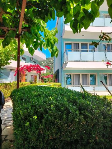 Armeno Hotel-官方