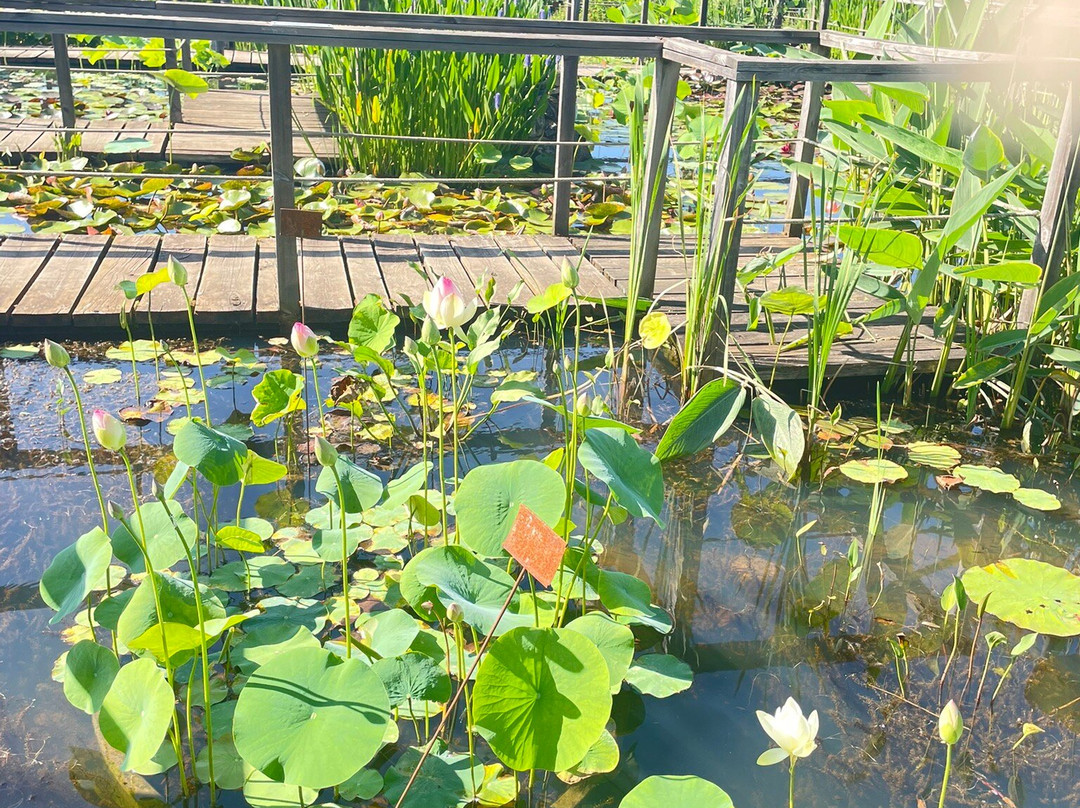 Les Jardins D'eau景点图片