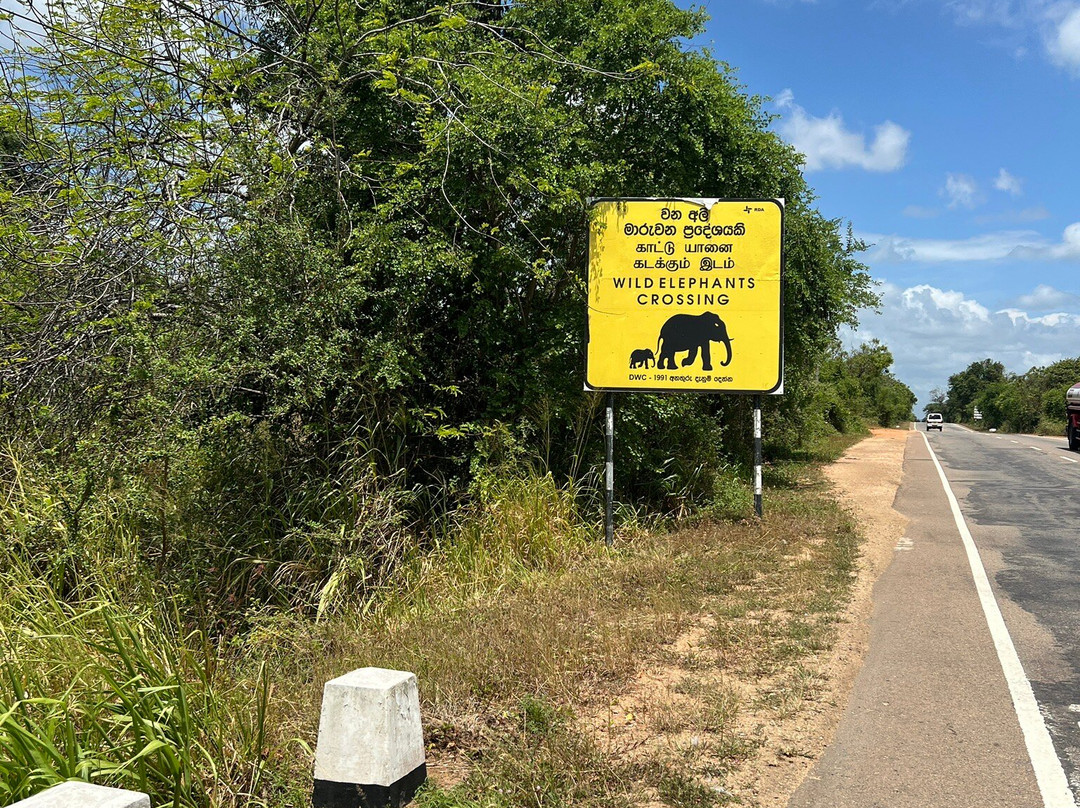 Sayura Travels Sri Lanka-Kinniya必去景点