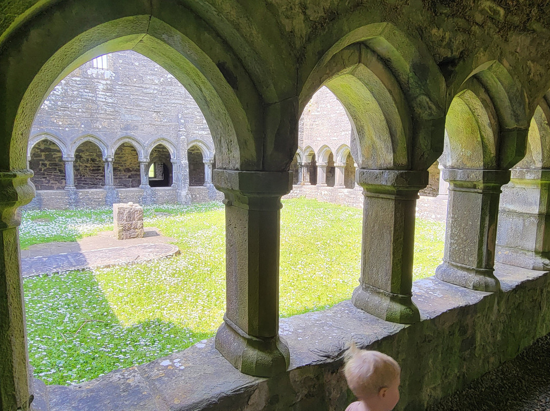Moyne Abbey-Killala必去景点