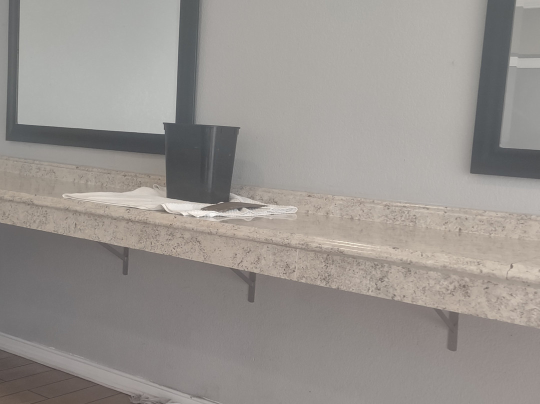 贝斯特韦斯特约书亚树国家公园花园酒店主图