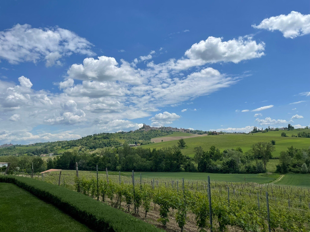 Cantina Hic Et Nunc-Vignale Monferrato必去景点
