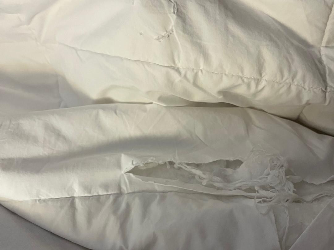 La Quinta Inn & Suites by Wyndham Knoxville North I-75主图