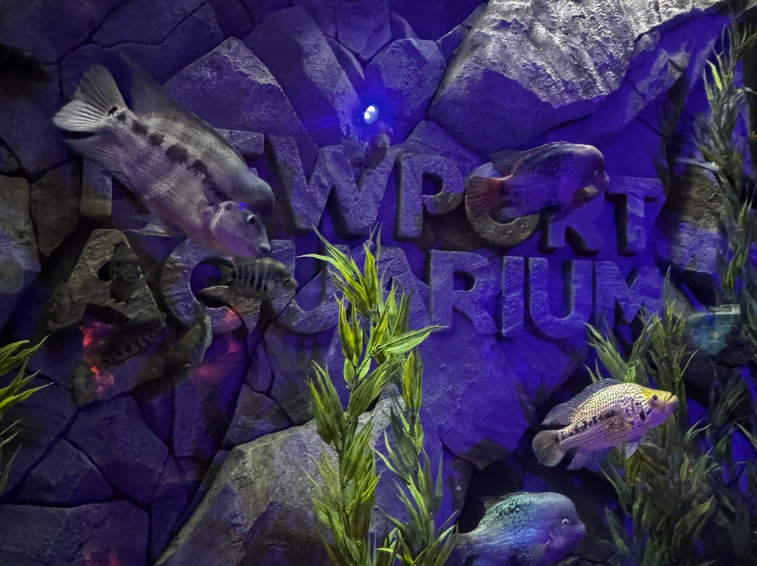 Newport Aquarium-Newport必去景点