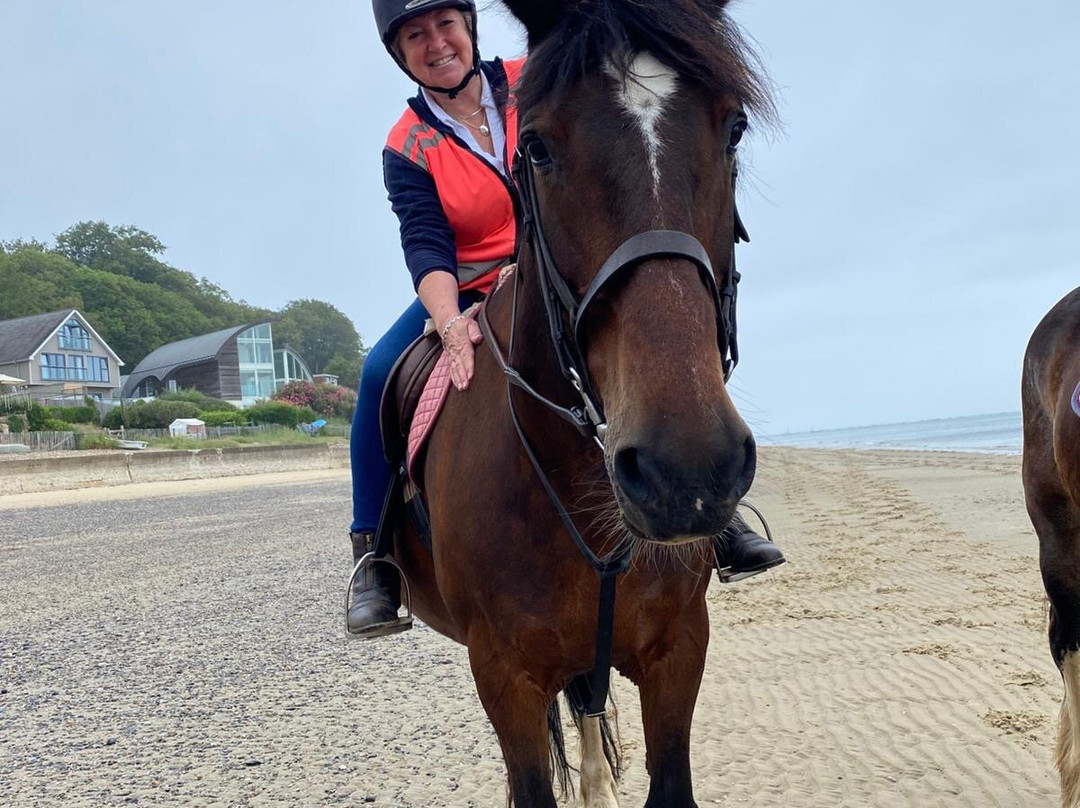 Sally's Riding School-St Helens必去景点