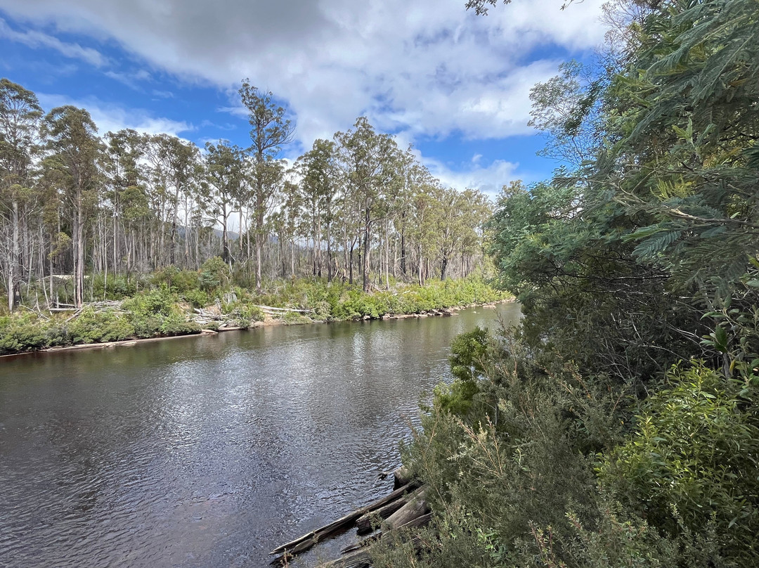 Tahune Adventures-Geeveston必去景点