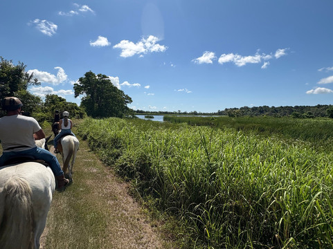 Middleton Place Equestrian Center-查尔斯顿必去景点