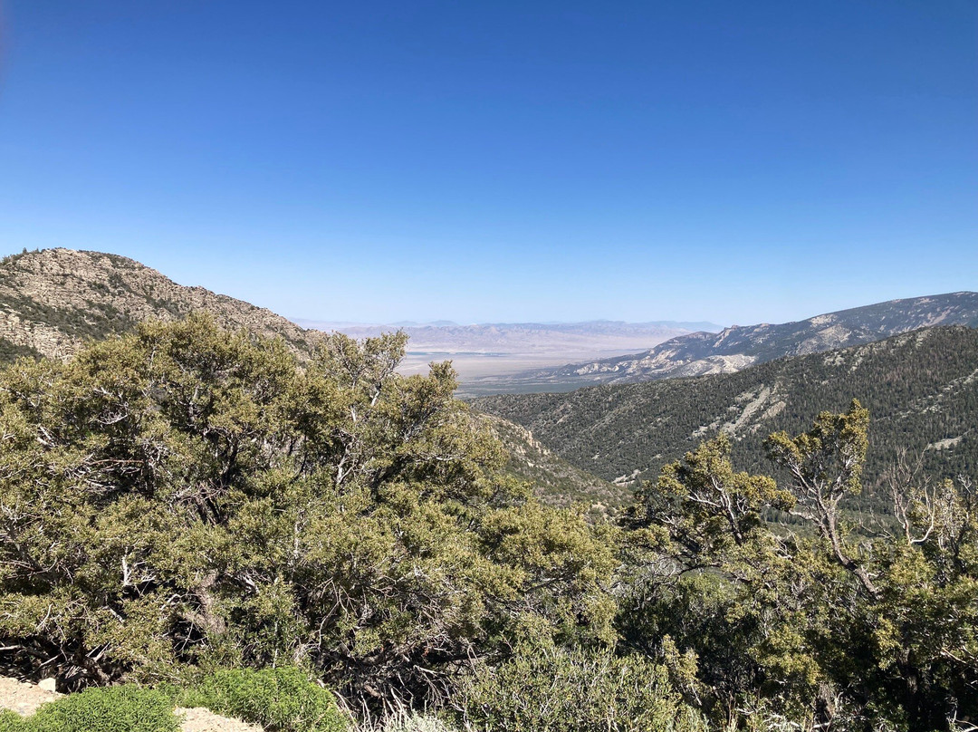 Wheeler Peak-Great Basin National Park必去景点