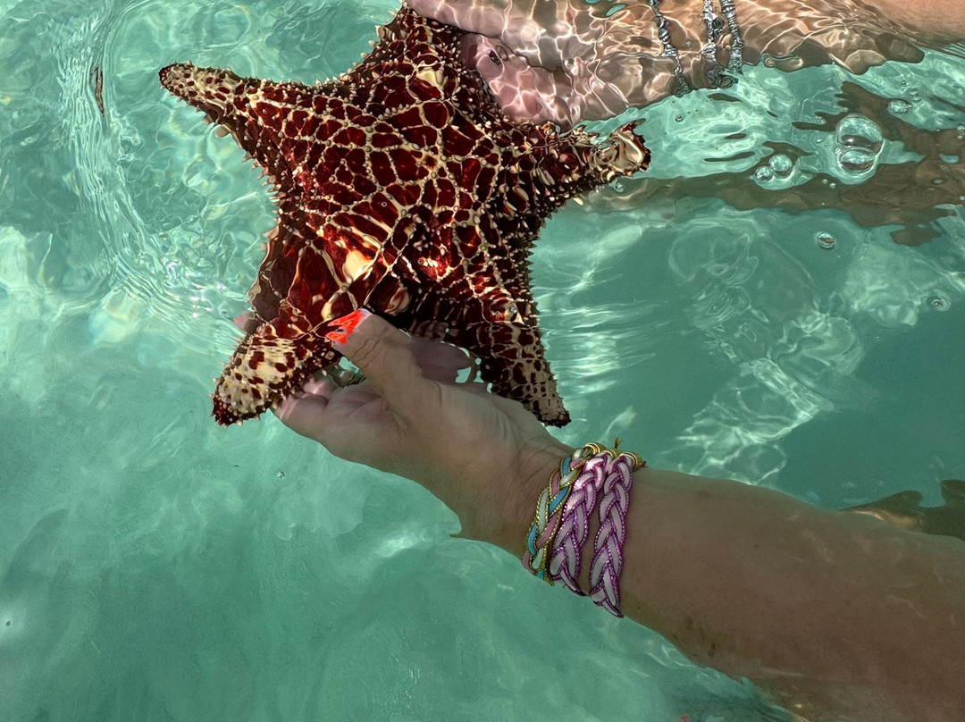 Tyman Fishing Charters-Spanish Wells必去景点