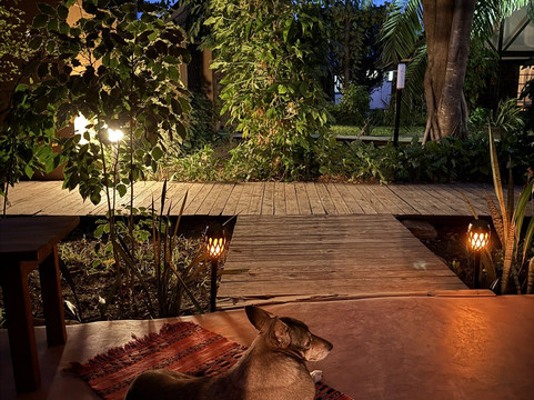 Acacia Village主图