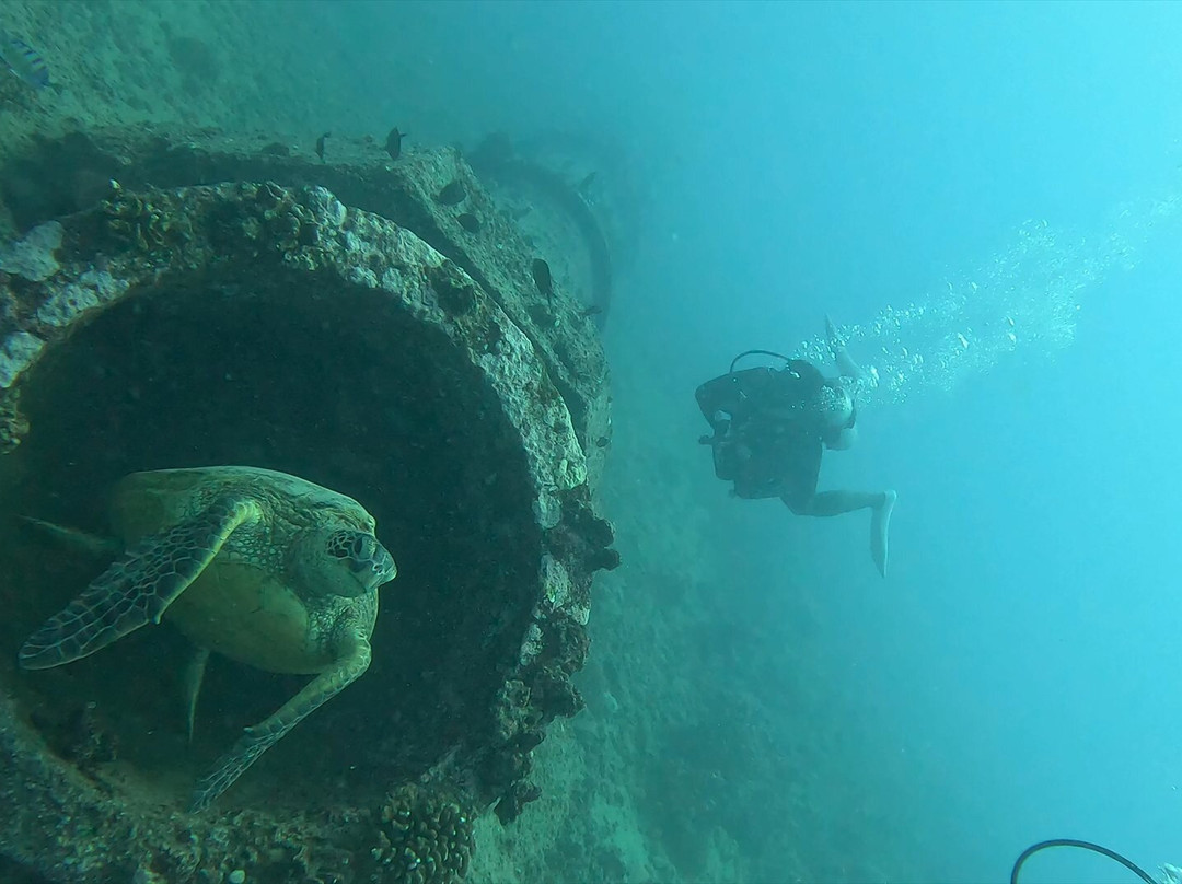Sunshine Scuba-火奴鲁鲁必去景点