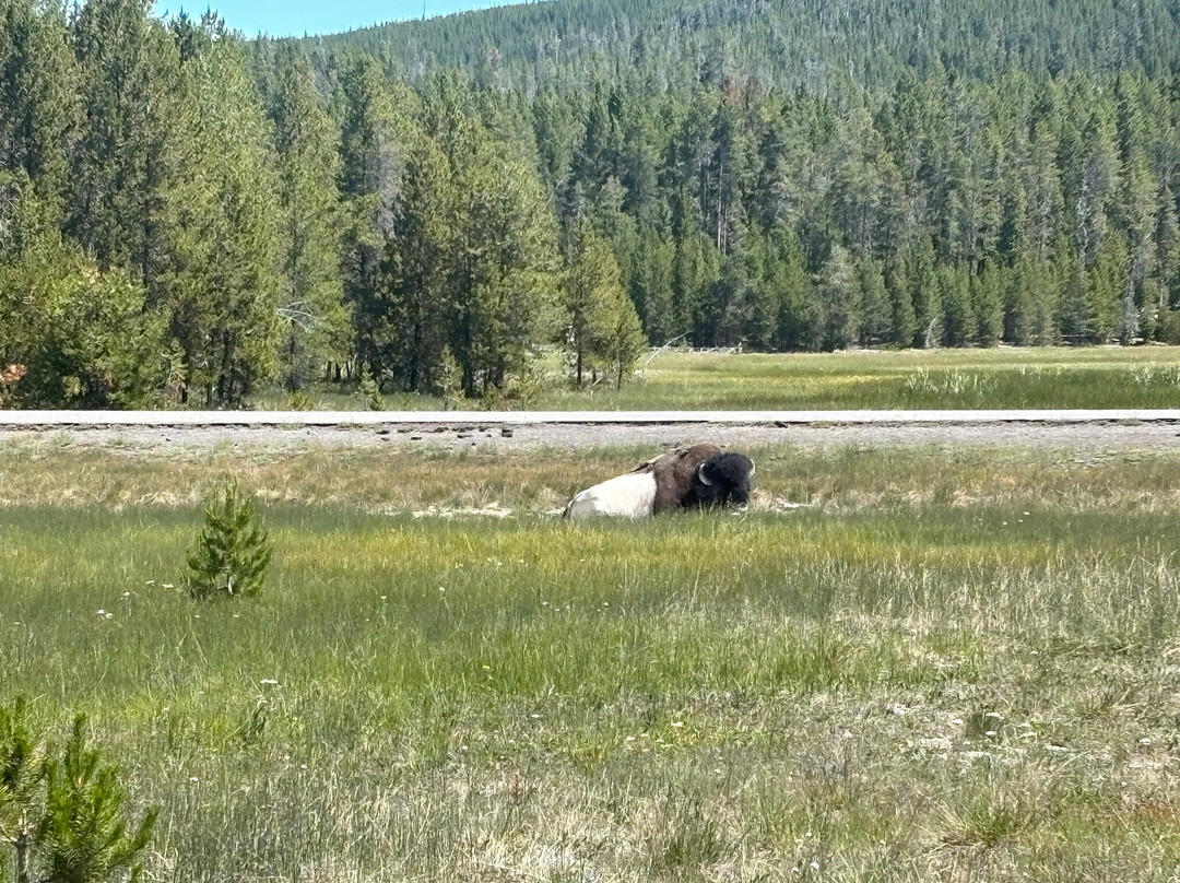 Old Faithful Visitor Education Center-黄石国家公园必去景点