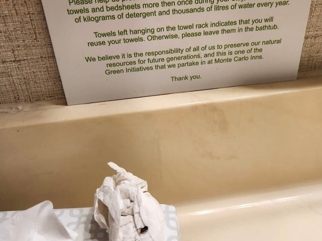 Monte Carlo Inn - Oakville Suites主图