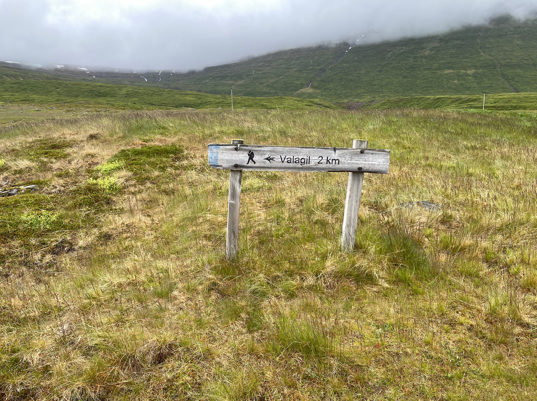 Valagil Waterfall-Sudavik必去景点