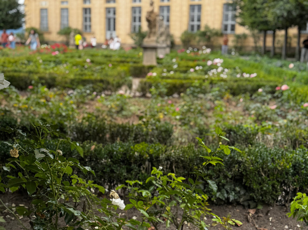 Rose Garden at the New Residenz-班贝格城必去景点