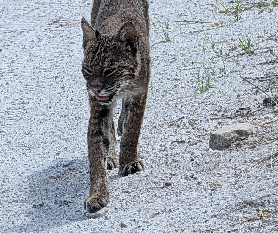 Streamsong Resort主图